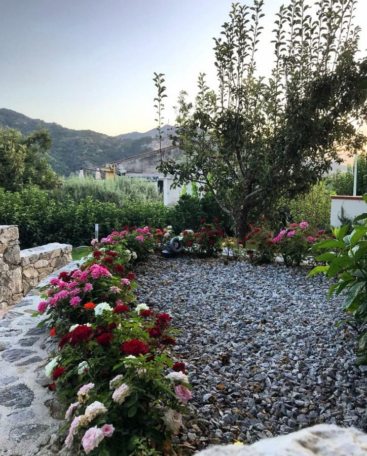 La Pergola Appartamenti Santa Lucia del Mela Bagian luar foto